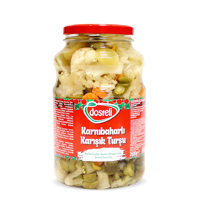 Dosteli Karnibaharli Karisik Tursu 2600g