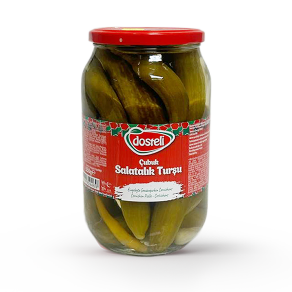 Dosteli Salatalik Tursu 2650g